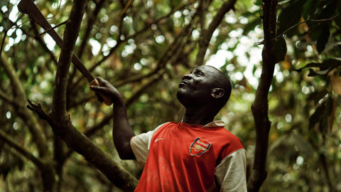 ONTDEK ONZE PRODUCTEN